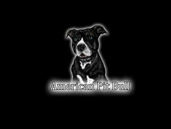 Pitbulls Wallpaper