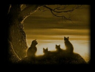 Warriors Cats Wallpaper Desktop Background