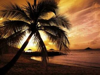 Tropical Sunset Wallpaper Pictures
