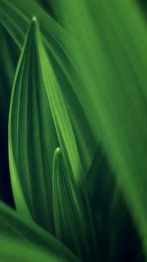 Awesome iPhone Wallpaper