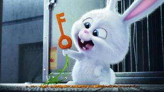 The Secret Life Of Pets Bunny Wallpaper HD