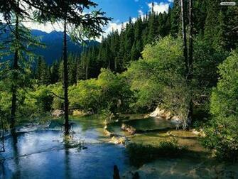 Amazing Landscape Wallpaper