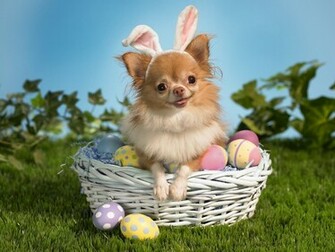 Happy Easter Desktop Background Christian Wallpaper