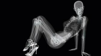 Funny Skeleton Wallpaper Great Photo