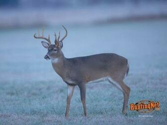 Hunting Image Wallpaper For Desktop Background HD