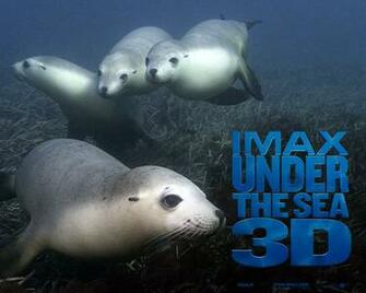 Under The Sea 3d Wallpaper Moallpapers Org