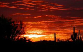 Az