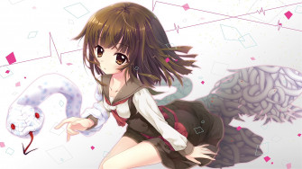 Anime Monogatari Series HD Wallpaper By Izumi Tsubasu
