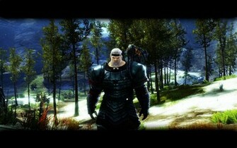 Guild Wars Norn Guardian By Nathytopbloke