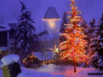 Beautiful Christmas Tree In Village Wallpaper