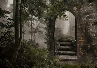 Magical Forest Wallpaper The Arch By