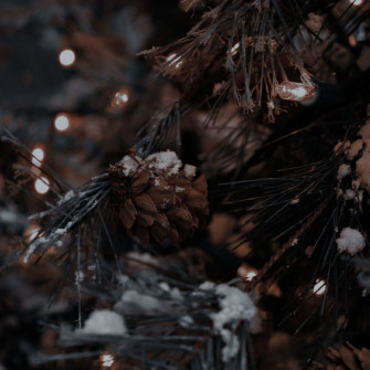 Creepy Christmas Dark Merry To All Wallpaper