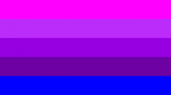 File Jennifer Pellinen Transgender Flag Svg Wikimedia