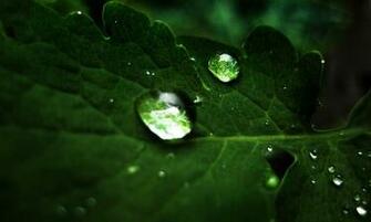Nokia N900 Wallpaper Daily Mobile