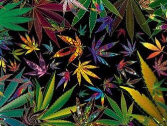 Trippy Stoner Types Multi Pot Leaves For Your Weed Wallpaper