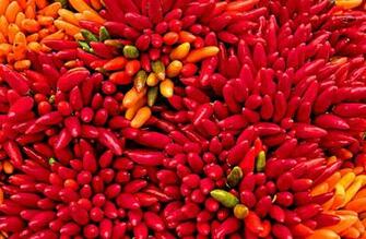Wallpaper Vegitable Market Chili Color