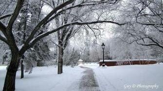 Central Park In Winter Wallpaper