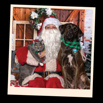Pet Photos With Santa Paws Alexandria Animals