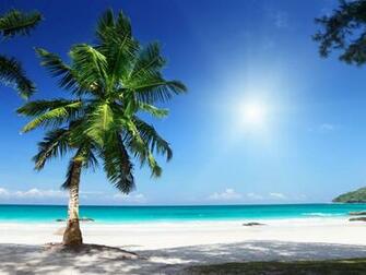 Sunny Beach Wallpaper