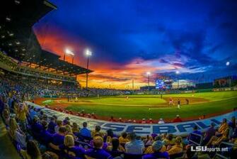Injury Lsusports Net The Official Web Site Of Lsu Tigers Athletics