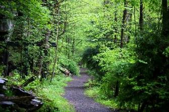 Spring Hiking Trail Wallpaper