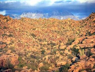 Arizona Nature Picture Foto