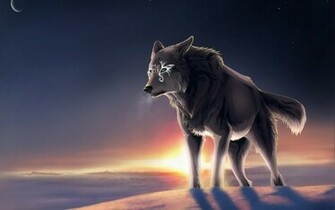 Lone Wolf Wallpaper