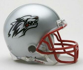 New Mexico Lobos Replica Riddell Mini Helmet Prices Online