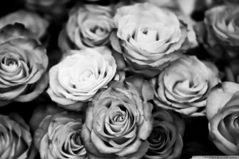 iPhone Wallpaper 4k Black And White