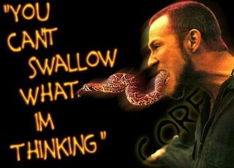 Stp Stone Temple Pilots Photo