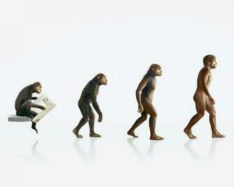 Human Evolution Apes Wallpaper Art HD