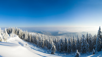 Wallpaper Id Winter Forest 4k Mountain