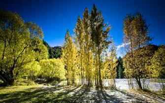 Autumn New Zealand Wallpaper HD