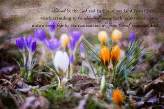 Kjv Desktop Pictures