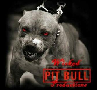 HD Wallpaper Pitbull Dog