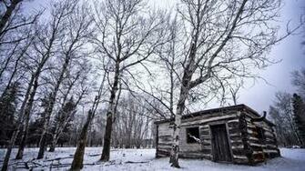 The Cabin In Wood HD Wallpaper