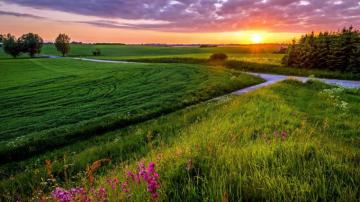 Farm Wallpaper