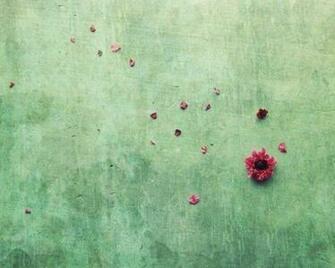 Mint Green Wallpaper