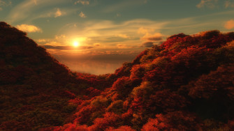 Nature Fall 4k Ultra HD Wallpaper