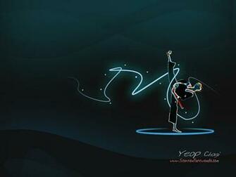 Taekwondo Wallpaper Galleryhip The Hippest Pics