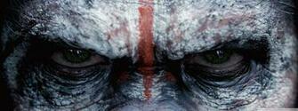 Dawn Of The Planet Apes Caesar 4k HD Desktop Wallpaper