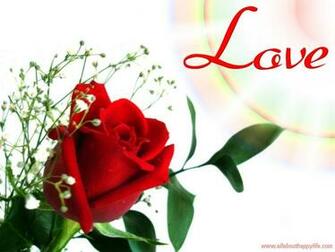 Red Rose Love Wallpaper HD For Walls Mobile Phone