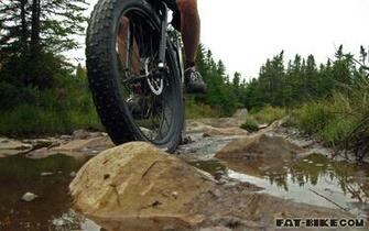 Fat Bike Wallpaper Newfoundland
