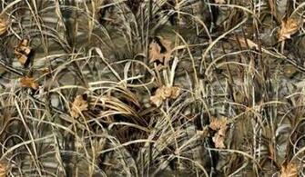 Ducks Unlimited Graphics Code Comments Pictures