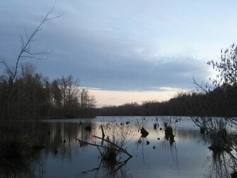 Duck Hunting Desktop Wallpaper The Lake We Were On