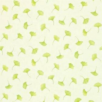 Green And White Wallpaper Decorating Ideas