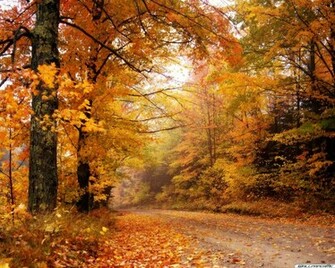 Knackiger Herbst Desktop Wallpaper