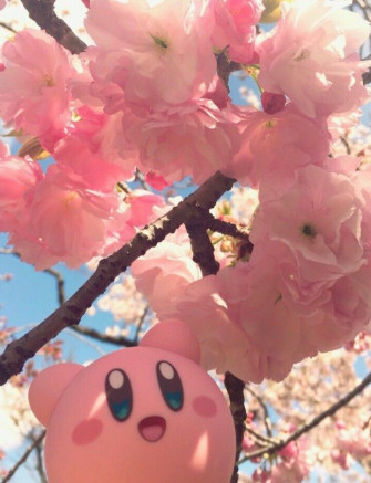 Taytaybumblebee On Kirbo Kirby Games Wallpaper