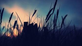 Silhouette Wallpaper Px High