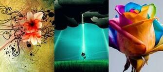 Wallpaper And Themes For Mobile iPhone Samsung Corby In
